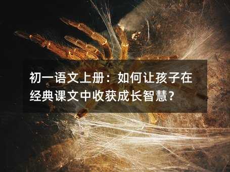 ��һ�Z���σԣ����׌�����ڽ����n�����ի@���L�ǻۣ�