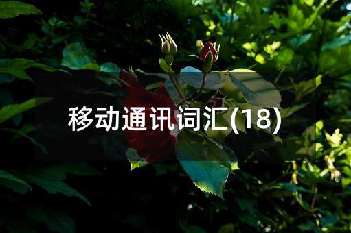 �Ƅ�(d��ng)ͨӍ�~�R(18)