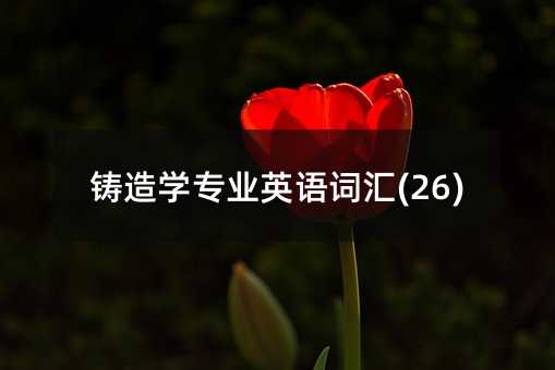 鑄造學專業英語詞匯(26)