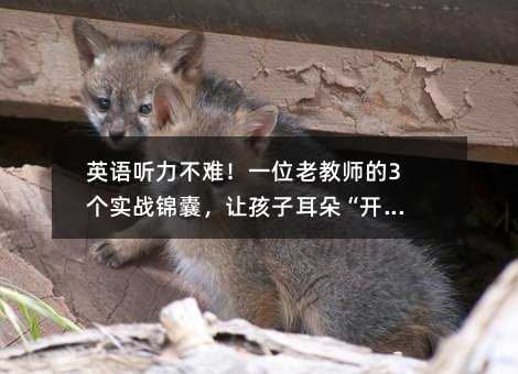 英語聽力不難!一位老教師的3個實戰錦囊,讓孩子耳朵“開竅”