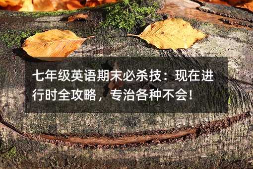 ���꼉Ӣ�Z��ĩ�ؚ������F���M�Еrȫ���ԣ����θ��N������