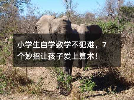 小學生自學數學不犯難,7個妙招讓孩子愛上算術!