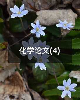 化學論文(4)