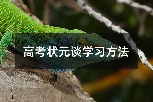 �߿���ԪՄ�W(xu��)��(x��)����