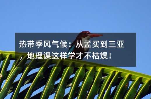 �Ꭷ���L��򣺏����I�������������n�@�ӌW�Ų����