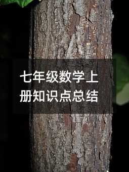 七年級數學上冊知識點總結