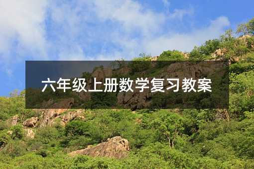 六年級上冊數(shù)學(xué)復(fù)習(xí)教案