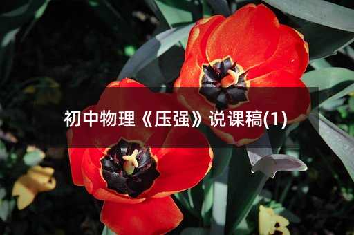 初中物理《壓強》說課稿(1)