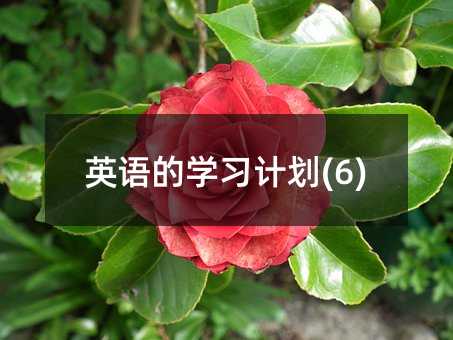 英語的學習計劃(6)