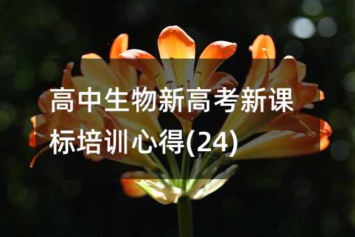 ���������¸߿����n����Ӗ�ĵ�(24)