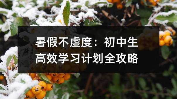 暑假不虛度:初中生高效學習計劃全攻略
