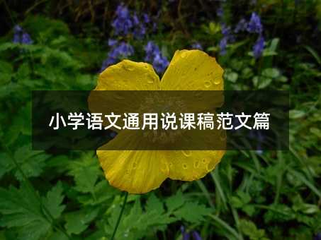 С�W(xu��)�Z��ͨ���f�n�巶��ƪ