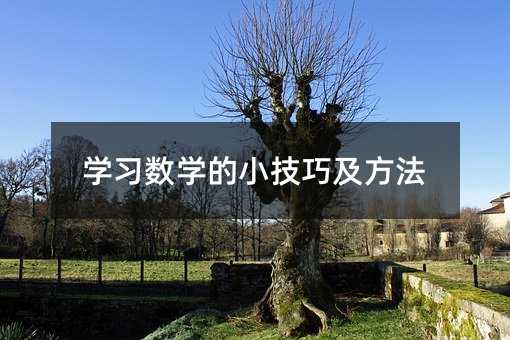 學(xué)習(xí)數(shù)學(xué)的小技巧及方法