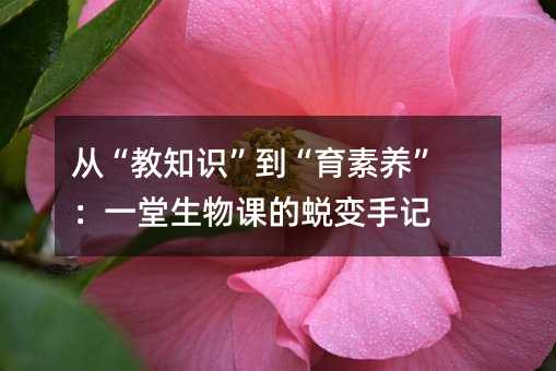 �ġ���֪�R�����������B(y��ng)����һ�������n��͑׃��ӛ