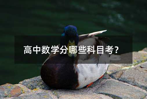 高中數學分哪些科目考?