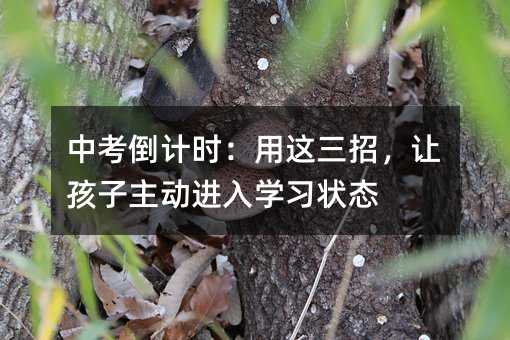 中考倒計時:用這三招,讓孩子主動進入學習狀態