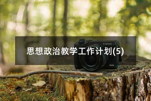 思想政治教學工作計劃(5)
