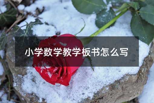 С�W(xu��)��(sh��)�W(xu��)�̌W(xu��)�����ô��