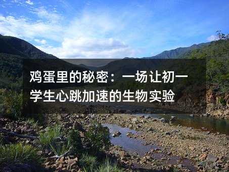 �u��������ܣ�һ��׌��һ�W���������ٵ�����