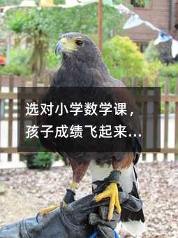 �x��С�W���W�n�����ӳɿ��w���������L�ؿ���8�����E