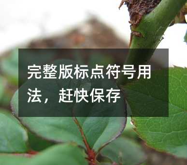 完整版標點符號用法,趕快保存