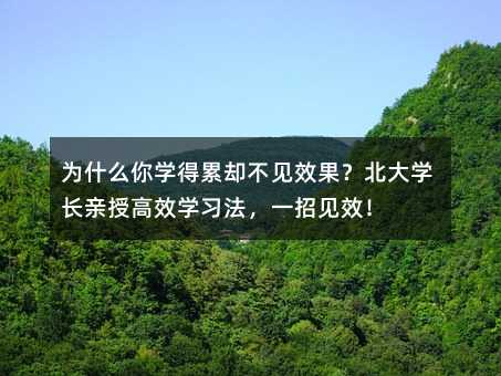 為什么你學得累卻不見效果?北大學長親授高效學習法,一招見效!