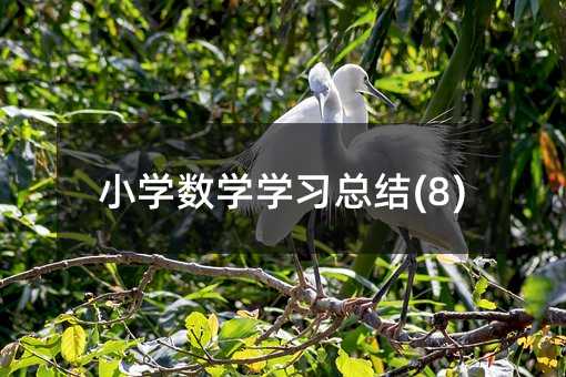 С�W���W�W�����Y(8)