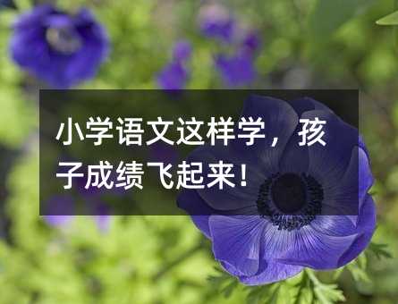 小學語文這樣學,孩子成績飛起來!
