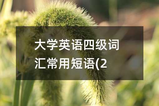 ��W(xu��)Ӣ�Z�ļ��~�R���ö��Z(2)