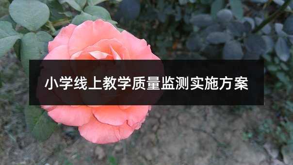 С�W(xu��)���Ͻ̌W(xu��)�|(zh��)���O(ji��n)�y��(sh��)ʩ����