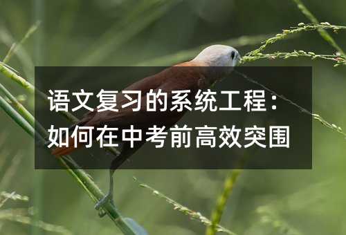 語文復習的系統工程:如何在中考前高效突圍