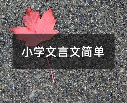 С�W(xu��)�����ĺ�(ji��n)��