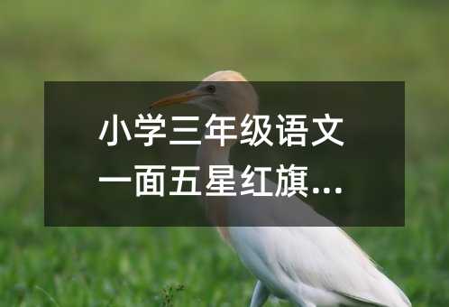 小學三年級語文一面五星紅旗教案