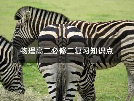 物理高二必修二復習知識點