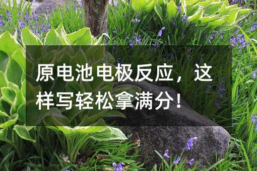 原電池電極反應,這樣寫輕松拿滿分!