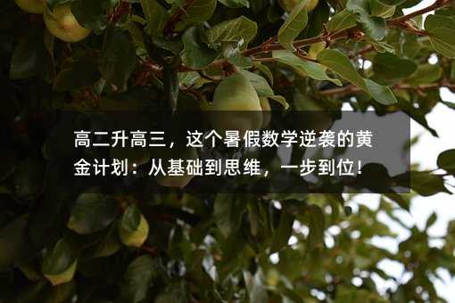 高二升高三,這個暑假數學逆襲的黃金計劃:從基礎到思維,一步到位!