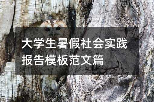 大學生暑假社會實踐報告模板范文篇