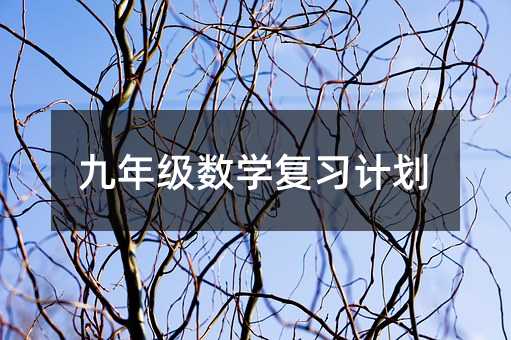 九年級數(shù)學(xué)復(fù)習(xí)計(jì)劃
