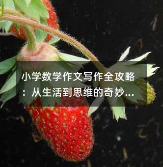 小學數學作文寫作全攻略:從生活到思維的奇妙旅程