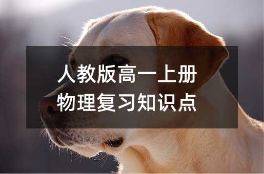 人教版高一上冊物理復習知識點