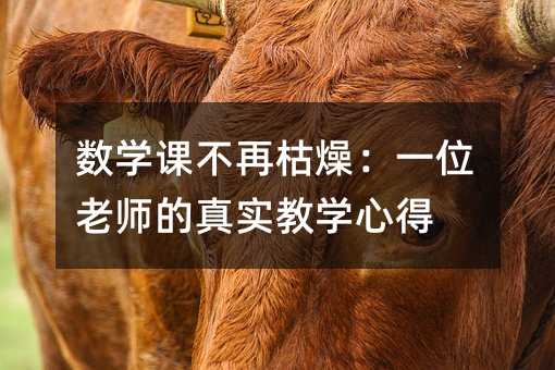 數學課不再枯燥:一位老師的真實教學心得
