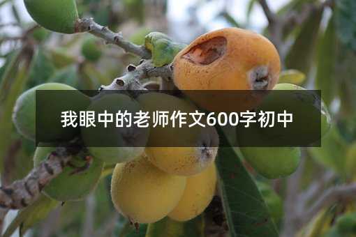 我眼中的老師作文600字初中