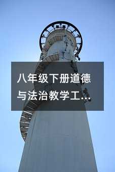 八年級下冊道德與法治教學工作總結(15)