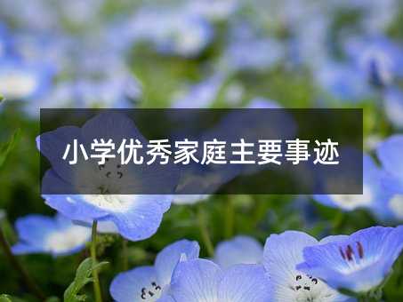 小學優秀家庭主要事跡