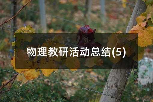 �������л�ӿ��Y(5)