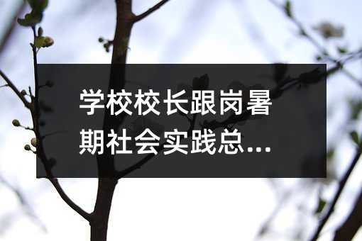 學校校長跟崗暑期社會實踐總結篇