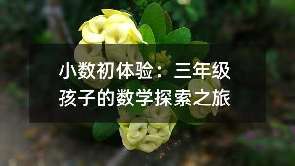 小數(shù)初體驗(yàn):三年級(jí)孩子的數(shù)學(xué)探索之旅