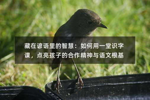 藏在諺語里的智慧:如何用一堂識字課,點亮孩子的合作精神與語文根基
