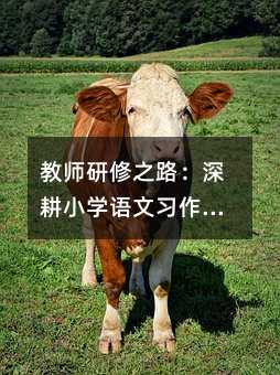教師研修之路:深耕小學語文習作教學