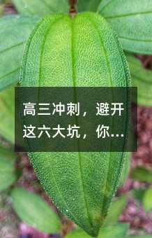 �����_�̣����_�@���������ķ֔�(sh��)���ܷ�(w��n)��(w��n)������